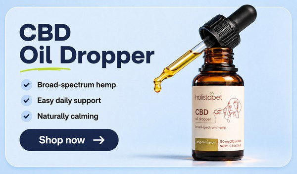 CBD Oil for Dogs