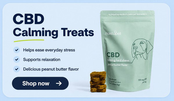 CBD Calming Treats for Dogs