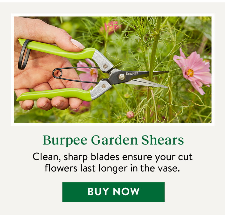 Burpee CR725 Garden Pruning Shears