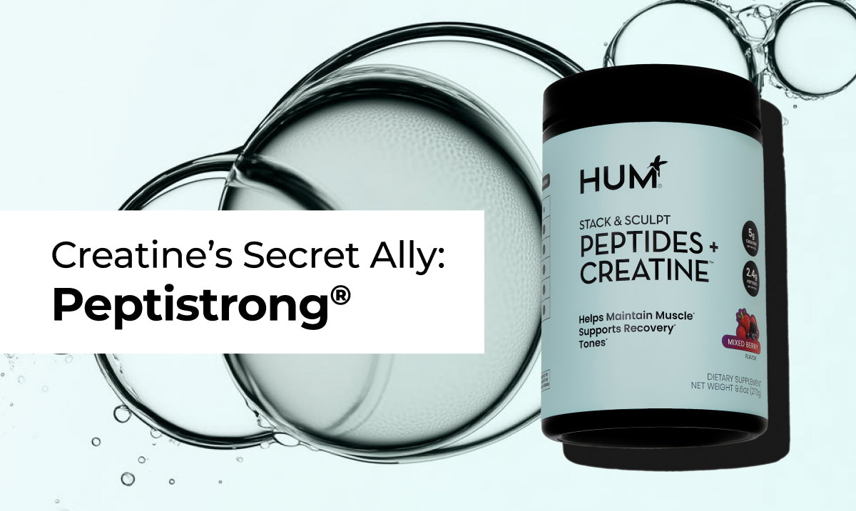 Creatine + PeptiStrong®: The Power Duo Behind Stack & Sculpt, Explained