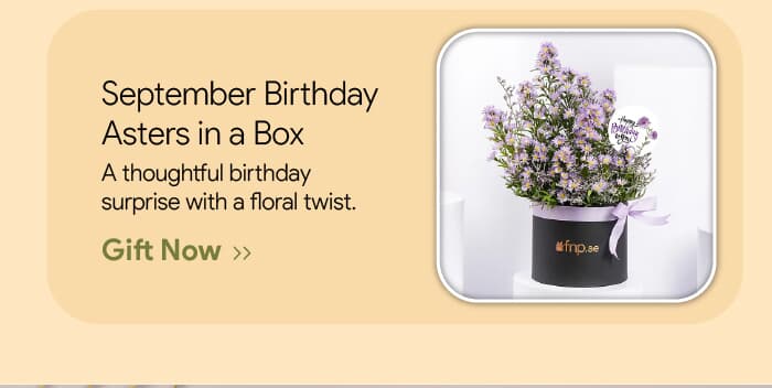 Leading UAE Florist for Gift and Flower Delivery