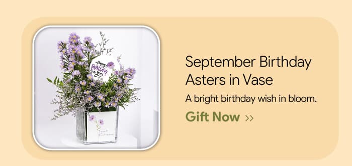 Leading UAE Florist for Gift and Flower Delivery