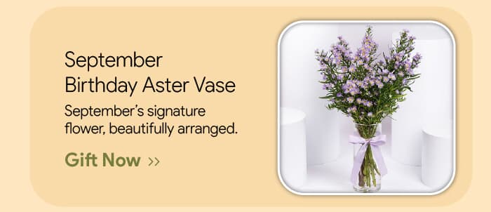 Leading UAE Florist for Gift and Flower Delivery