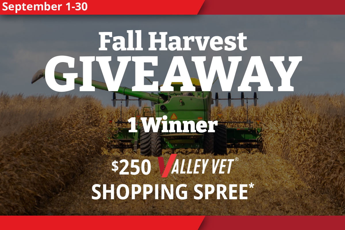 Fall Harvest Giveaway - $250 Valley Vet Shopping Spree - Enter Now