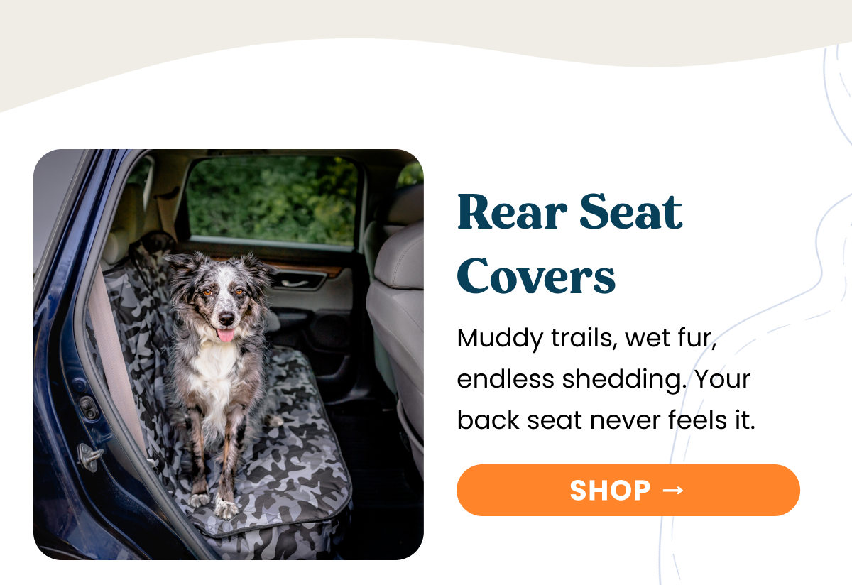 Back Seat Covers