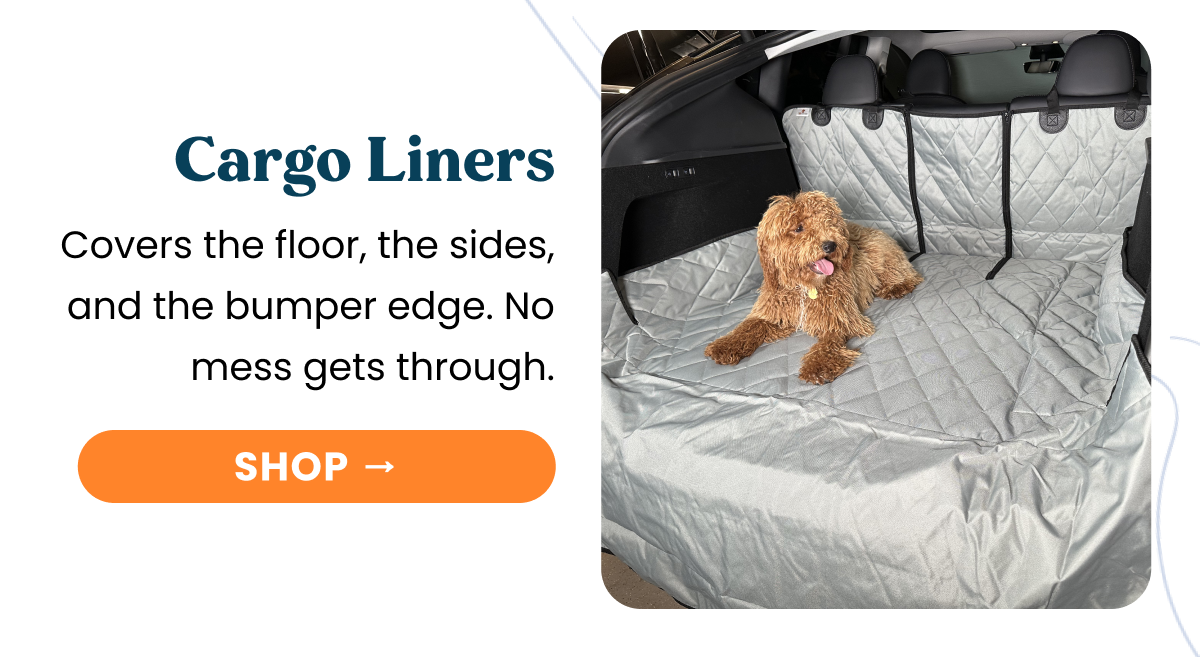 Cargo Liners