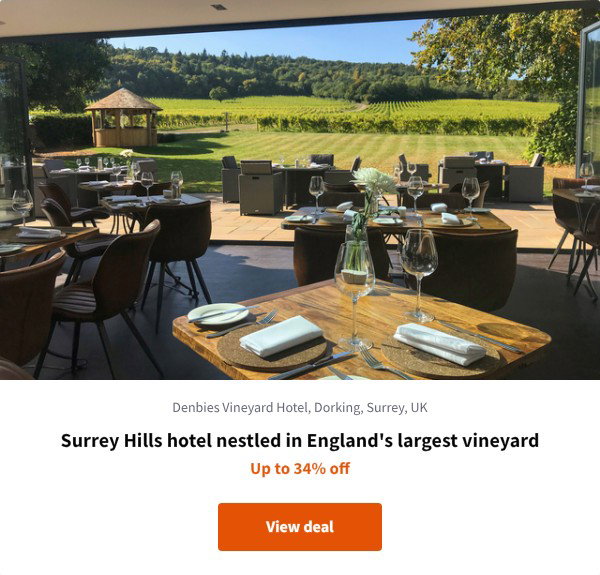 Surrey Hills hotel nestled in England's largest vineyard