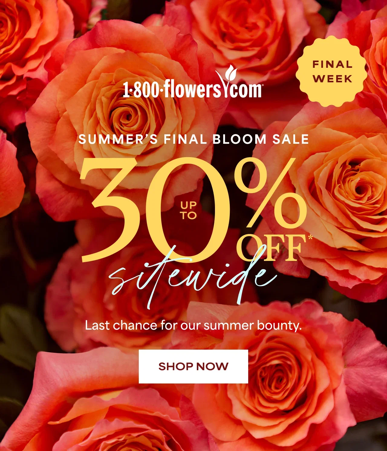 Final Week | Up to 30% Off Sitewide | Last chance for our summer bounty.