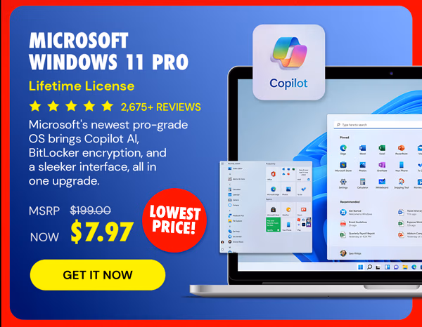 Microsoft Windows 11 Pro