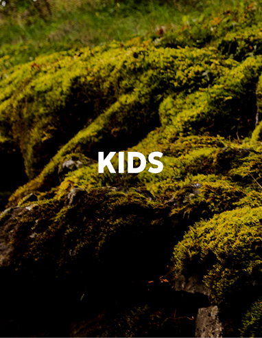A forest background with text: KIDS
