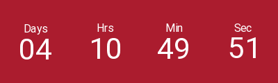 Countdown Timer