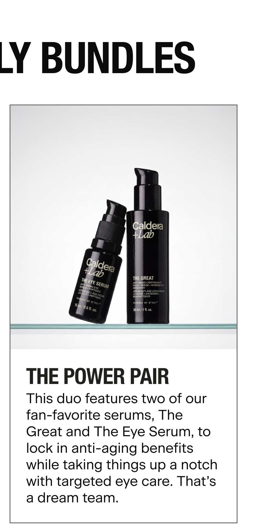 THE POWER PAIR