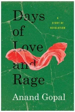 Book: Days of Love and Rage