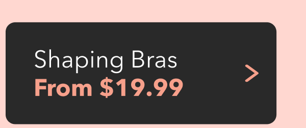 $19.99
