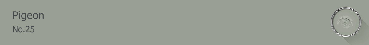 Rectangle banner of Pigeon