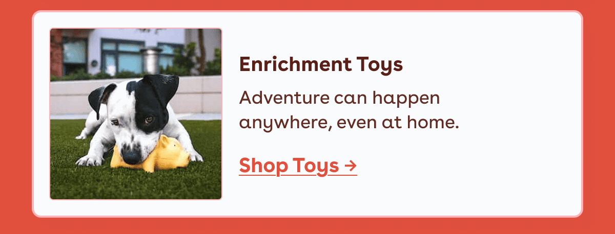 Adventure can happen anywhere, even at home.