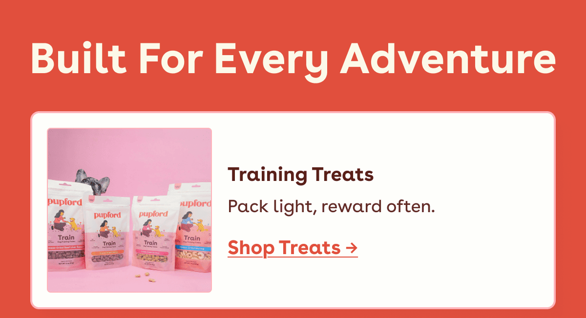 Shop Treats