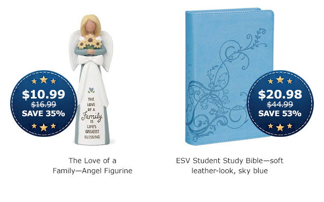 The Love of a Family—Angel Figurine | ESV Student Bible