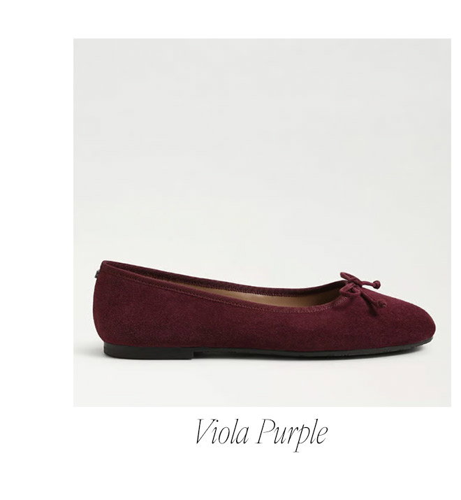 Viola Purple