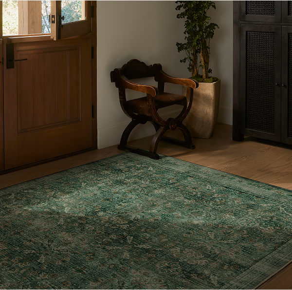 Frances Jade Green Rug | Save On This Style