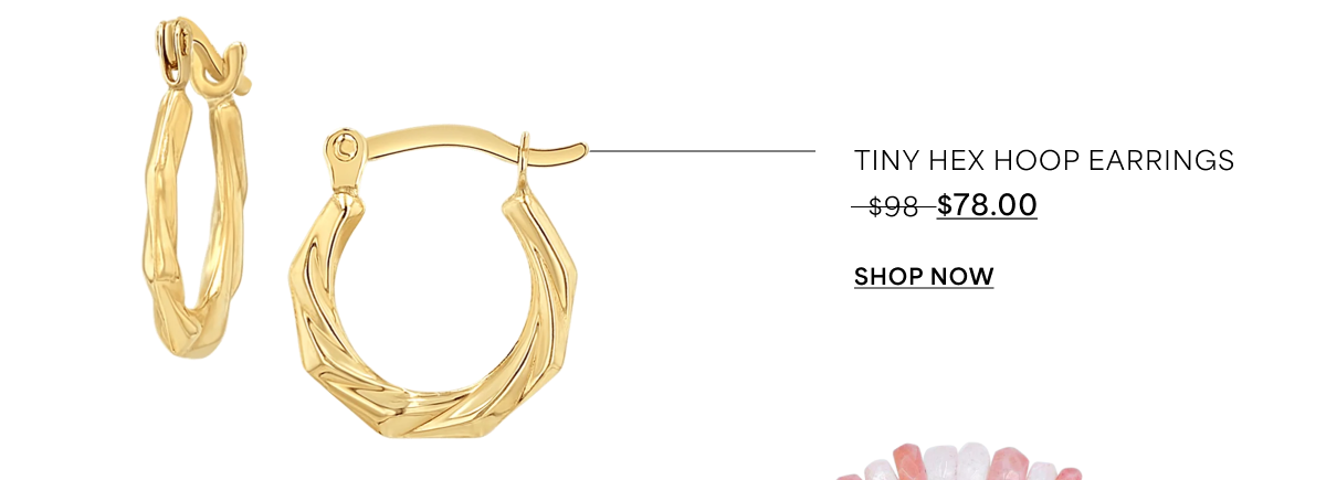 Tiny Hex Hoop Earrings