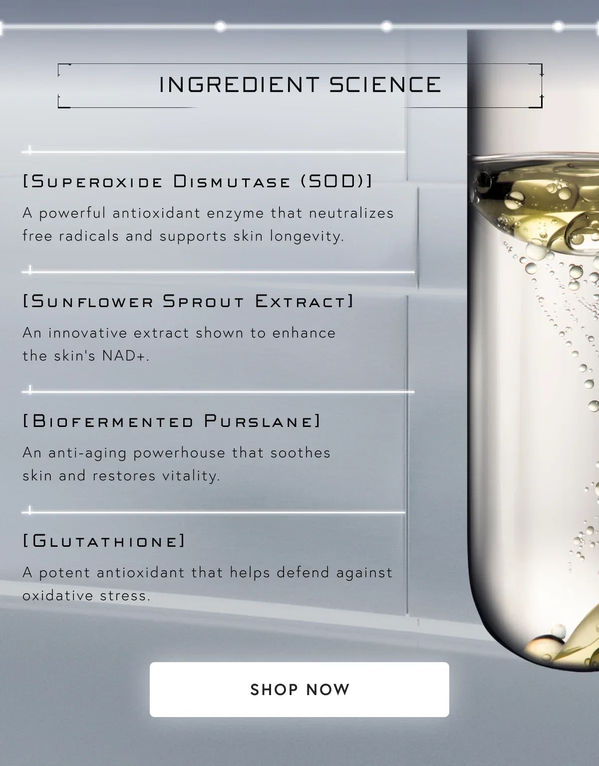 INGREDIENT SCIENCE