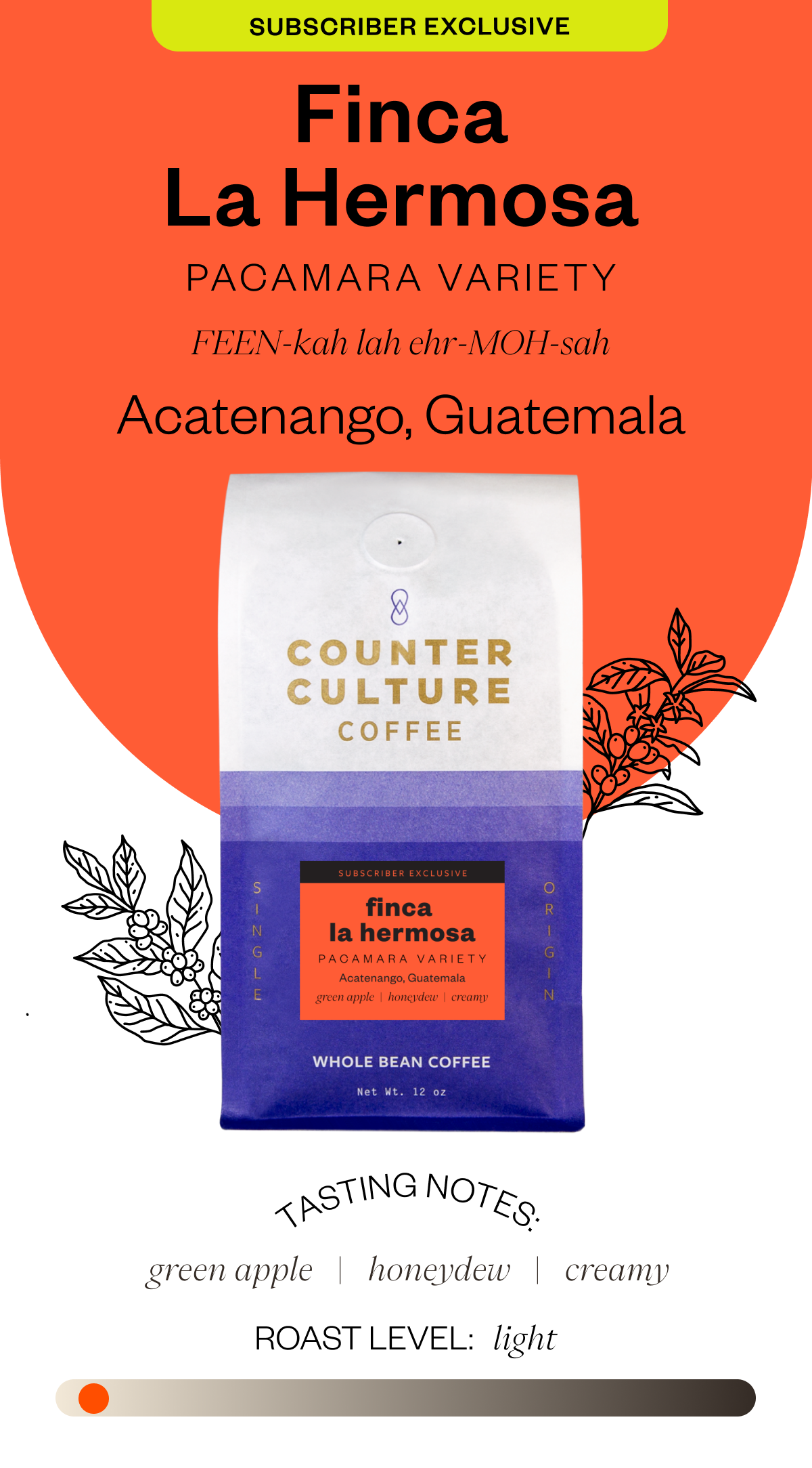 Subscriber Exclusive Finca La Hermosa Pacamara Variety FEEN-kah-la ehr- MOH-sah Acatengango, Guatemala Tasting notes: green apple honeydew creamy Roast level: Light 