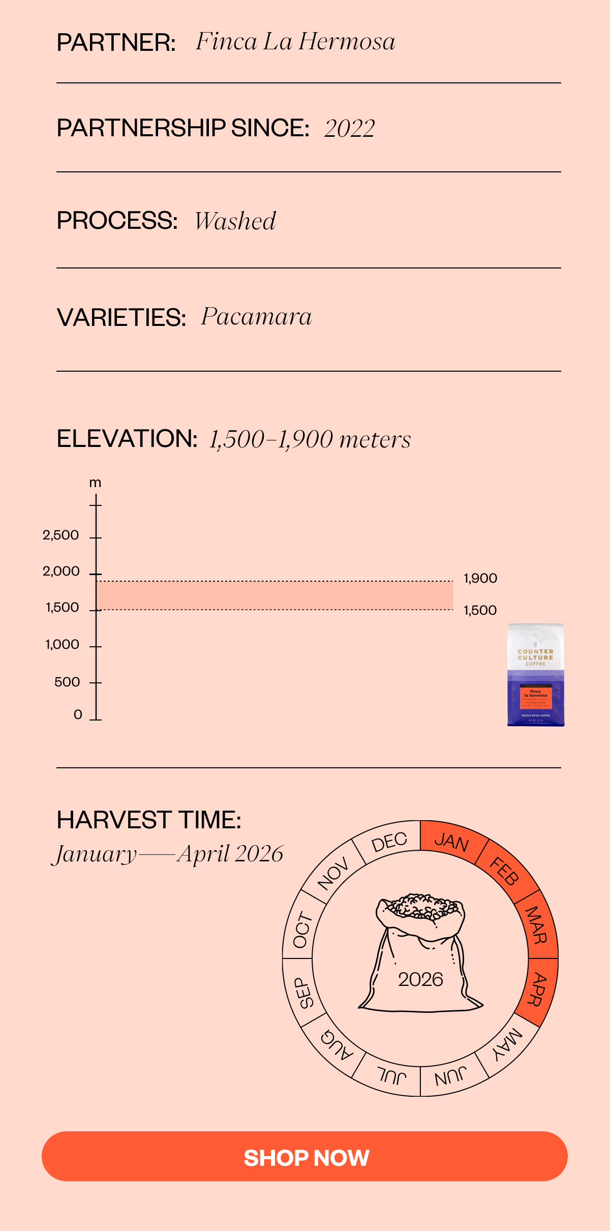 Partner:Length Of Partnership: 2022   Harvest Description Process: Washed Elevation: 1,500 - 1,900 masl Varieties: Pacamara Harvest Time: January - April 2026 SHOP NOW