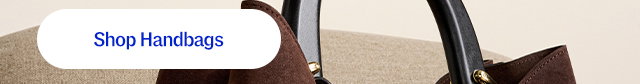 Shop handbags.