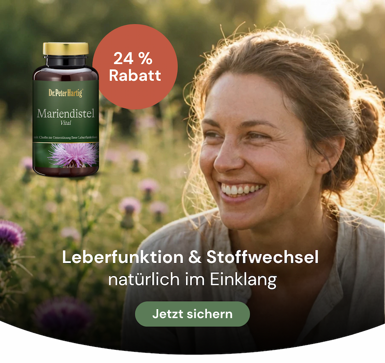 Mariendistel