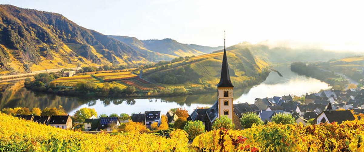 Castles & Vineyards of the Rhine & Moselle