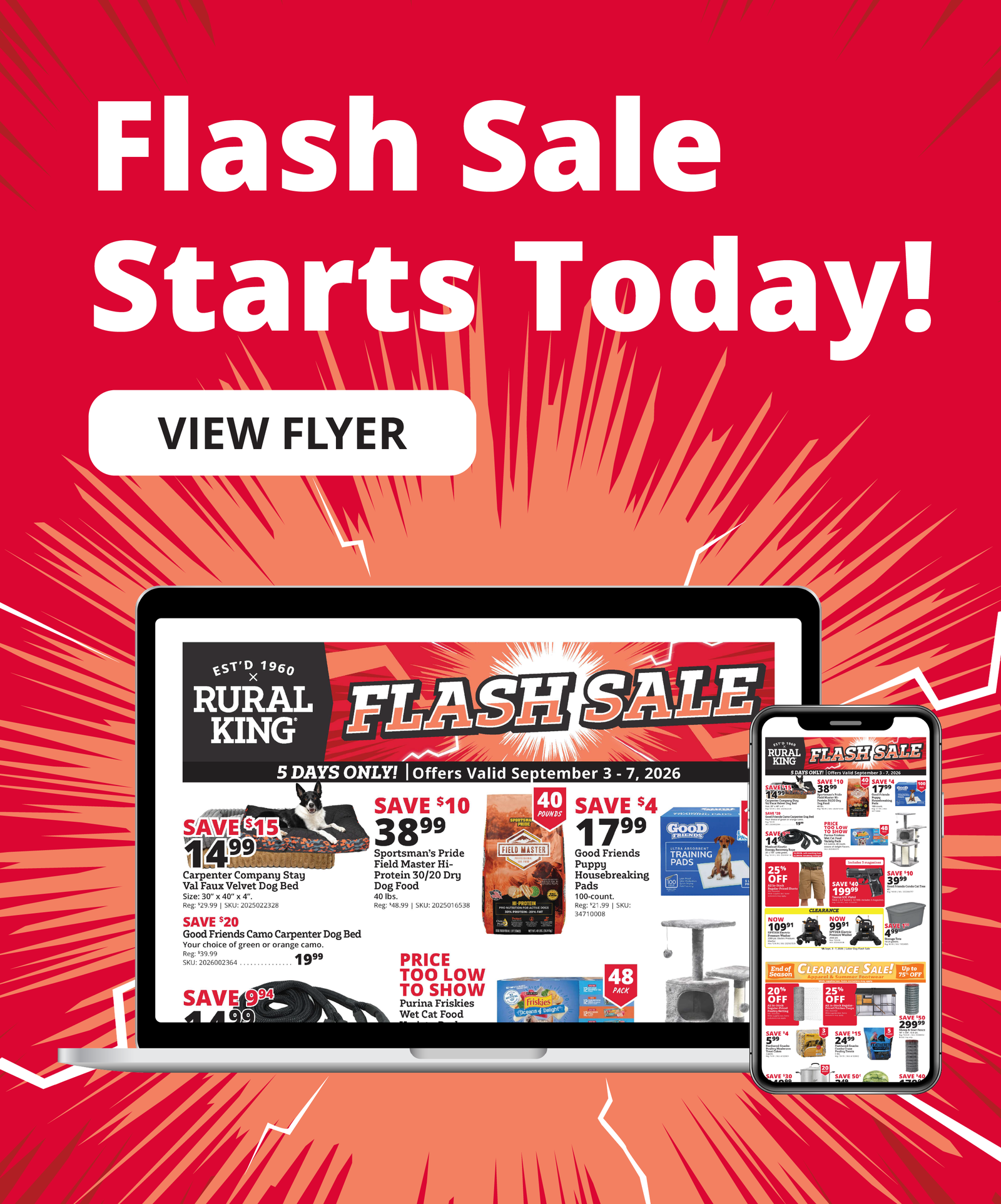 FLASH SALE