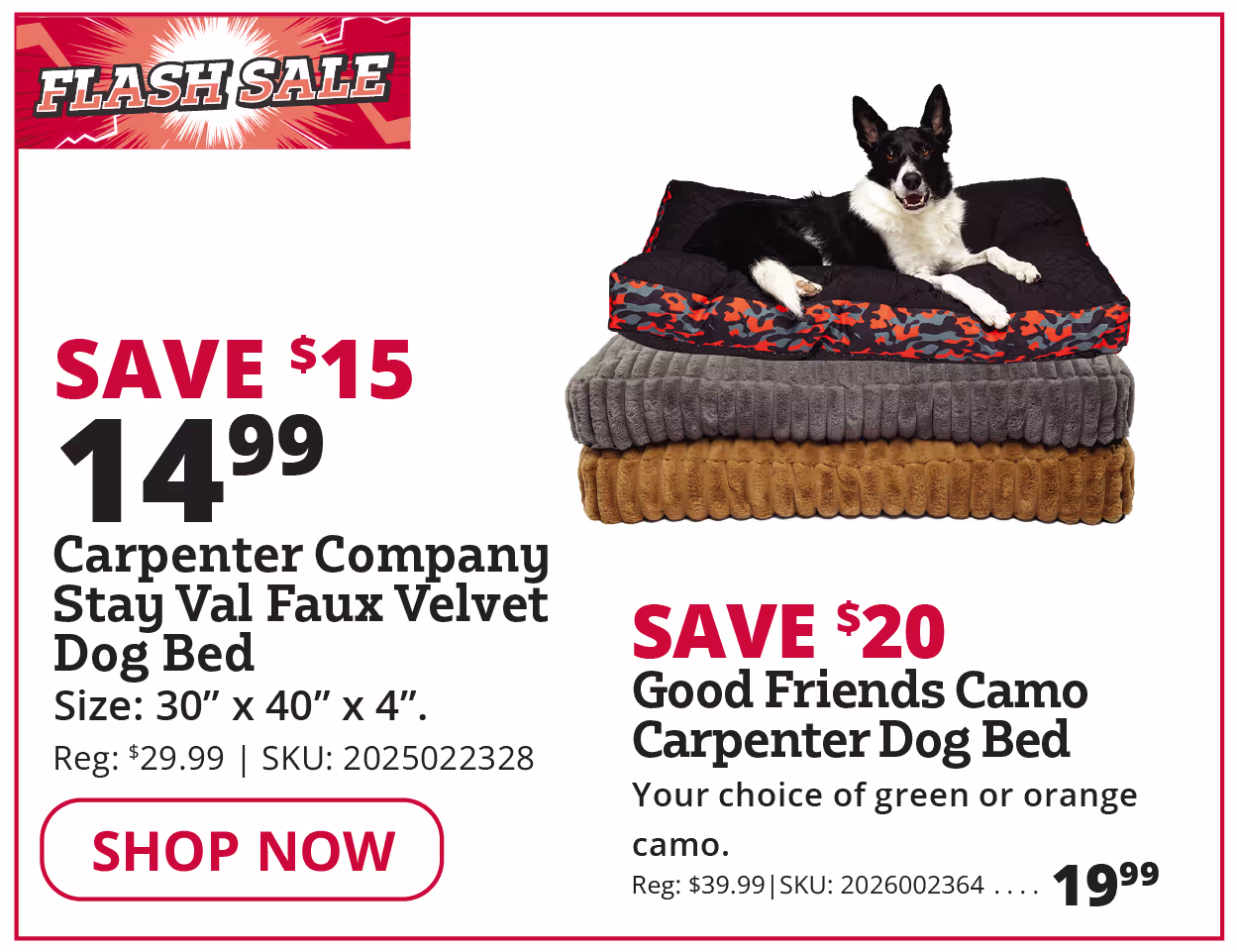 Dog Bed
