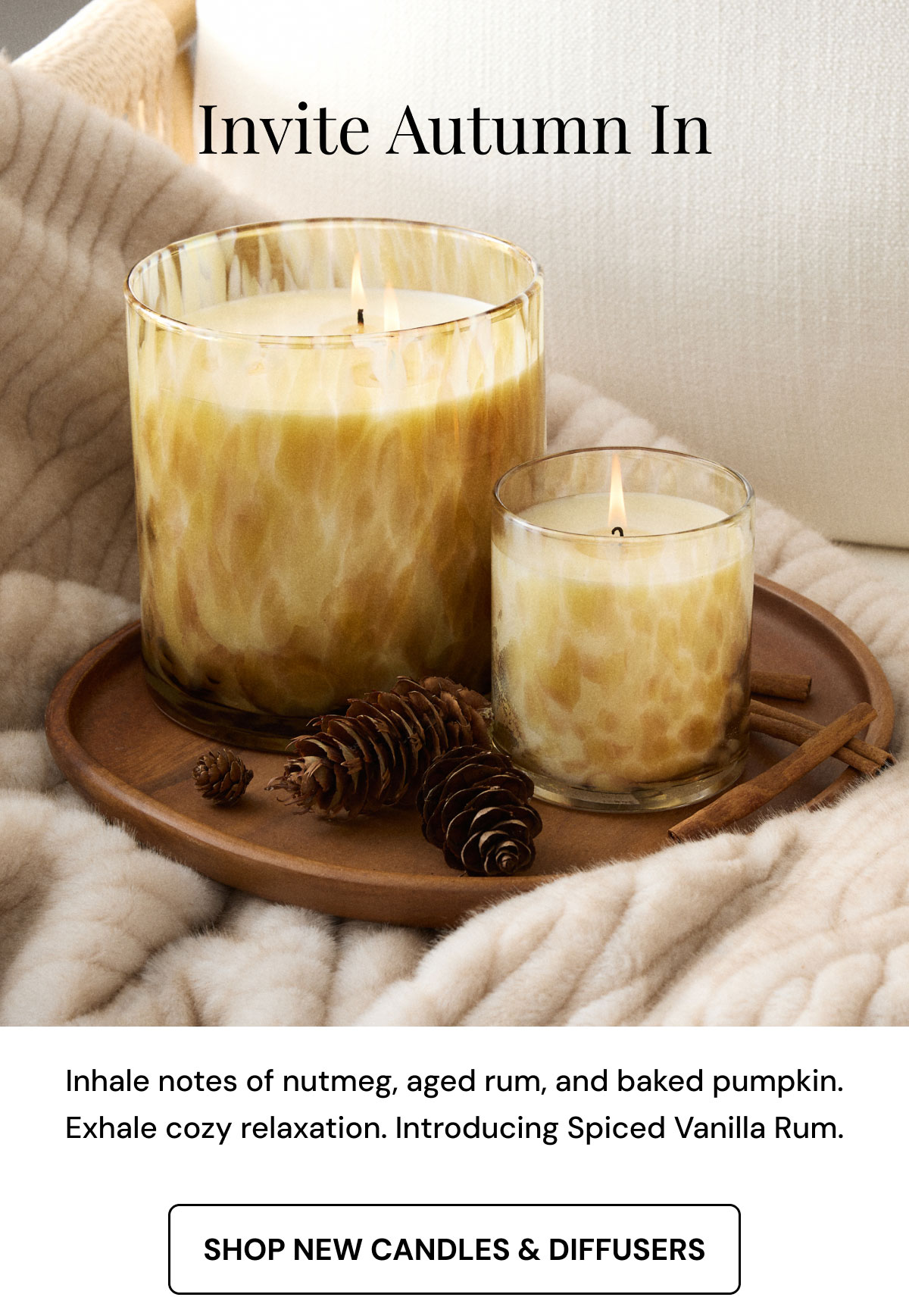 Shop New Candles & Diffusers