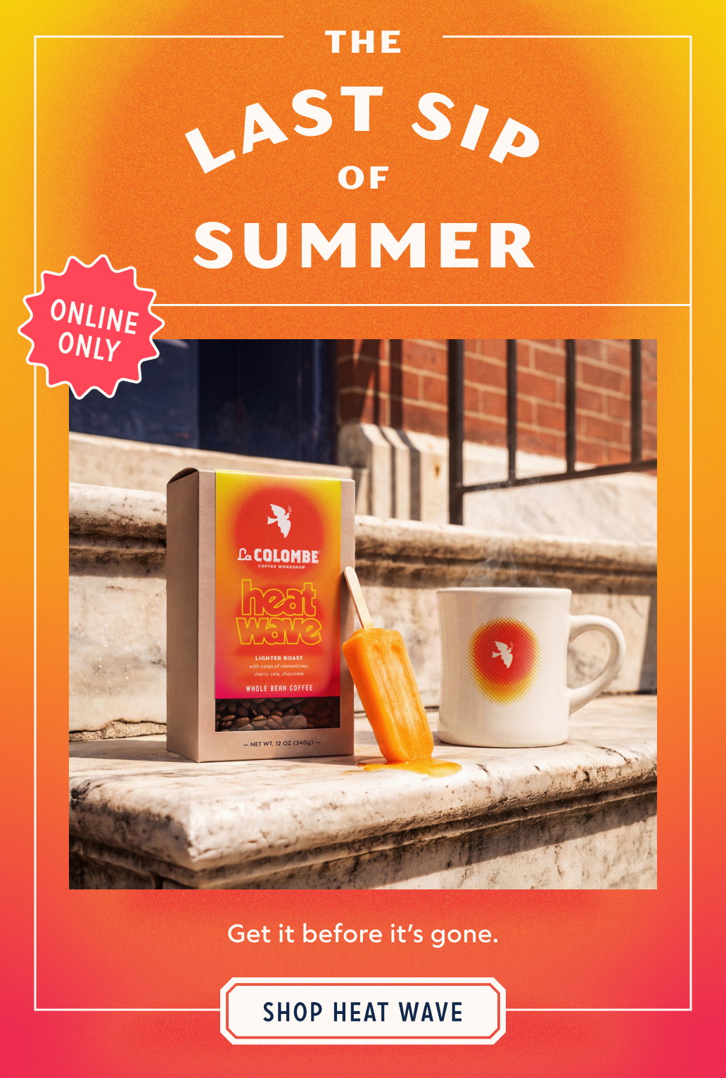 Shop Now