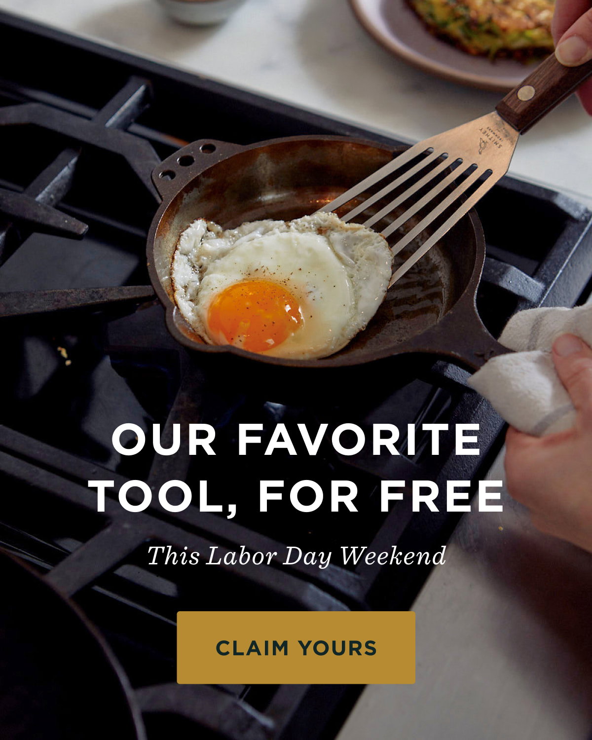 Our Favorite Tool, For Free