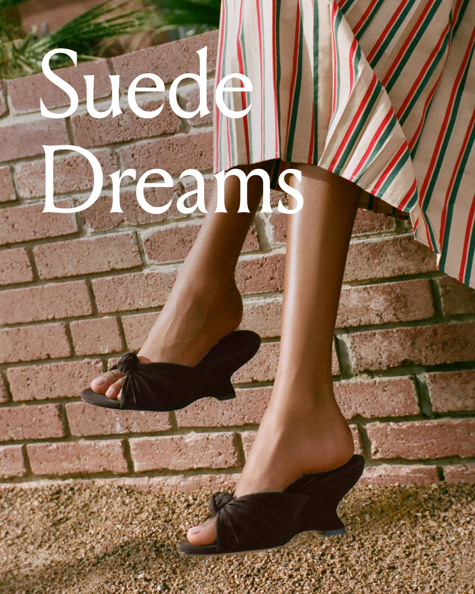 Suede Dreams