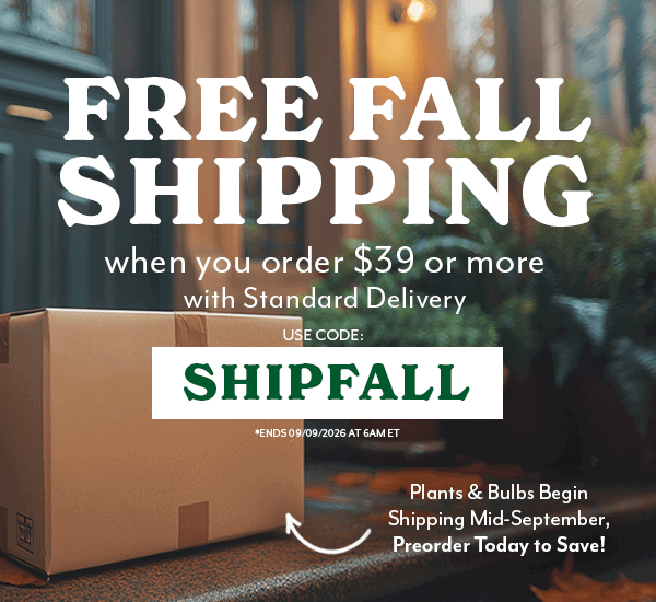 FREE FALL SHIPPING ON ORDERS OF $50 WITH STANDARD DELIVERY WITH CODE SHIPFALL