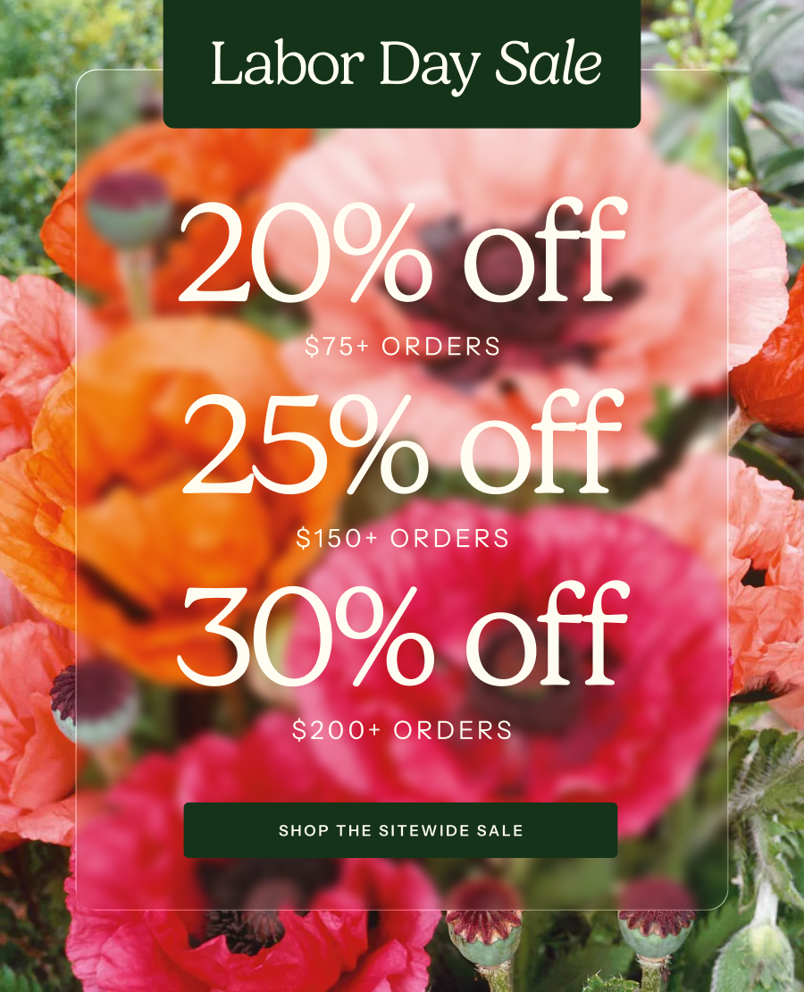 Labor Day Sale - 20% off $75+, 25% off $150+, 30% off $200+