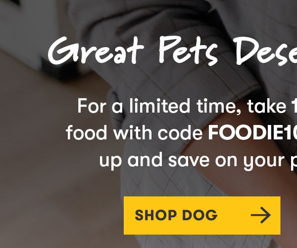 SHOP DOG