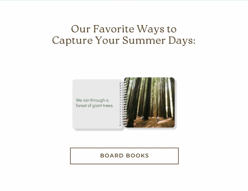Board Books