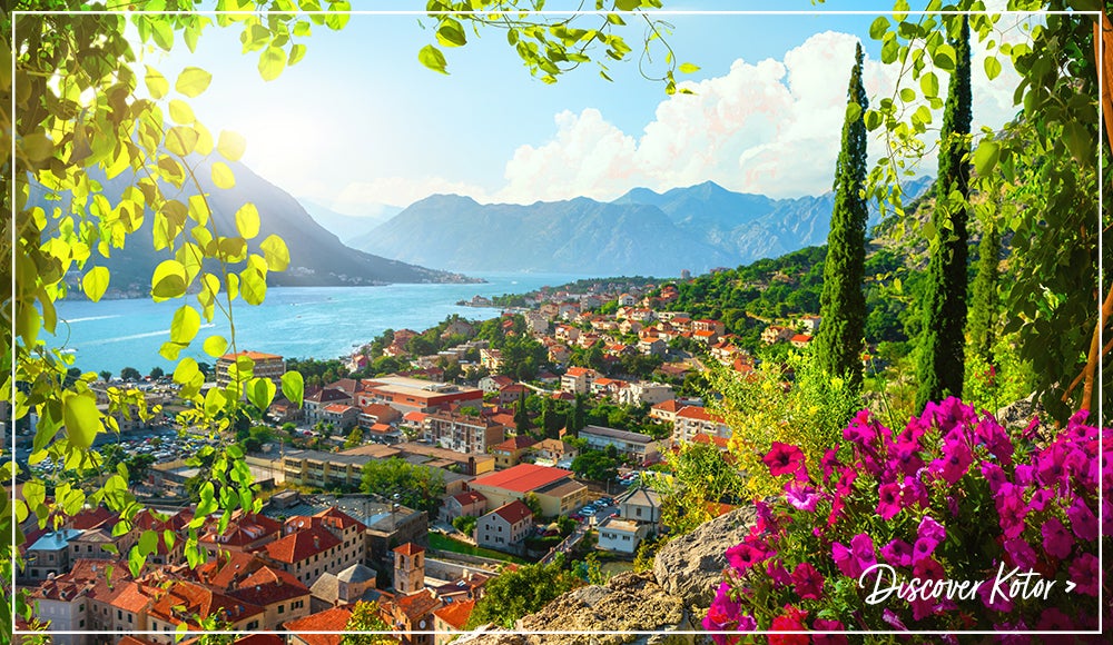 Discover Kotor