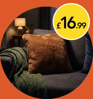 £16.99