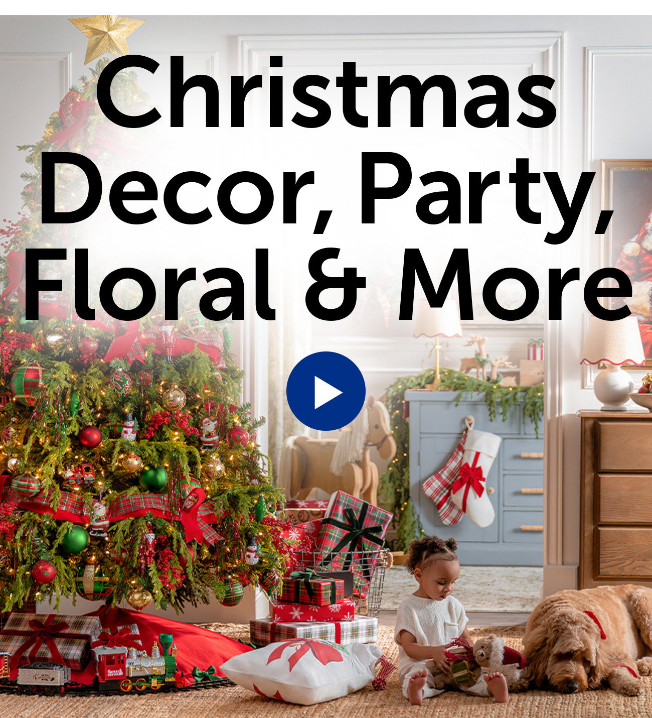 Christmas Decor, Party, Floral & More Video