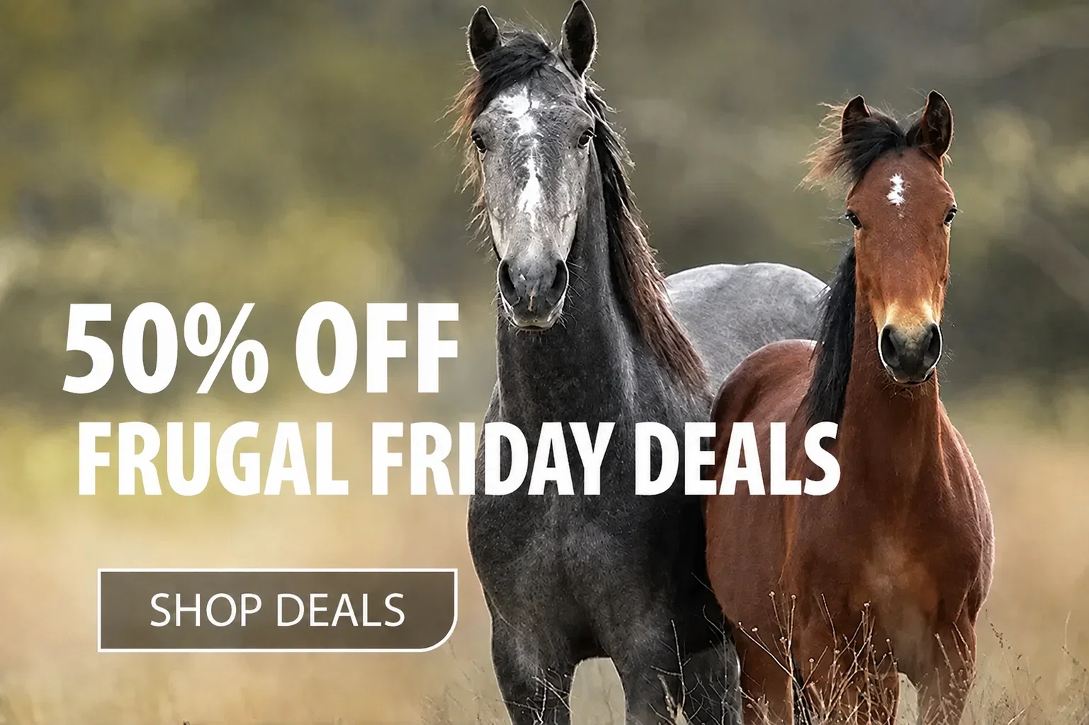 SHOP DEALS