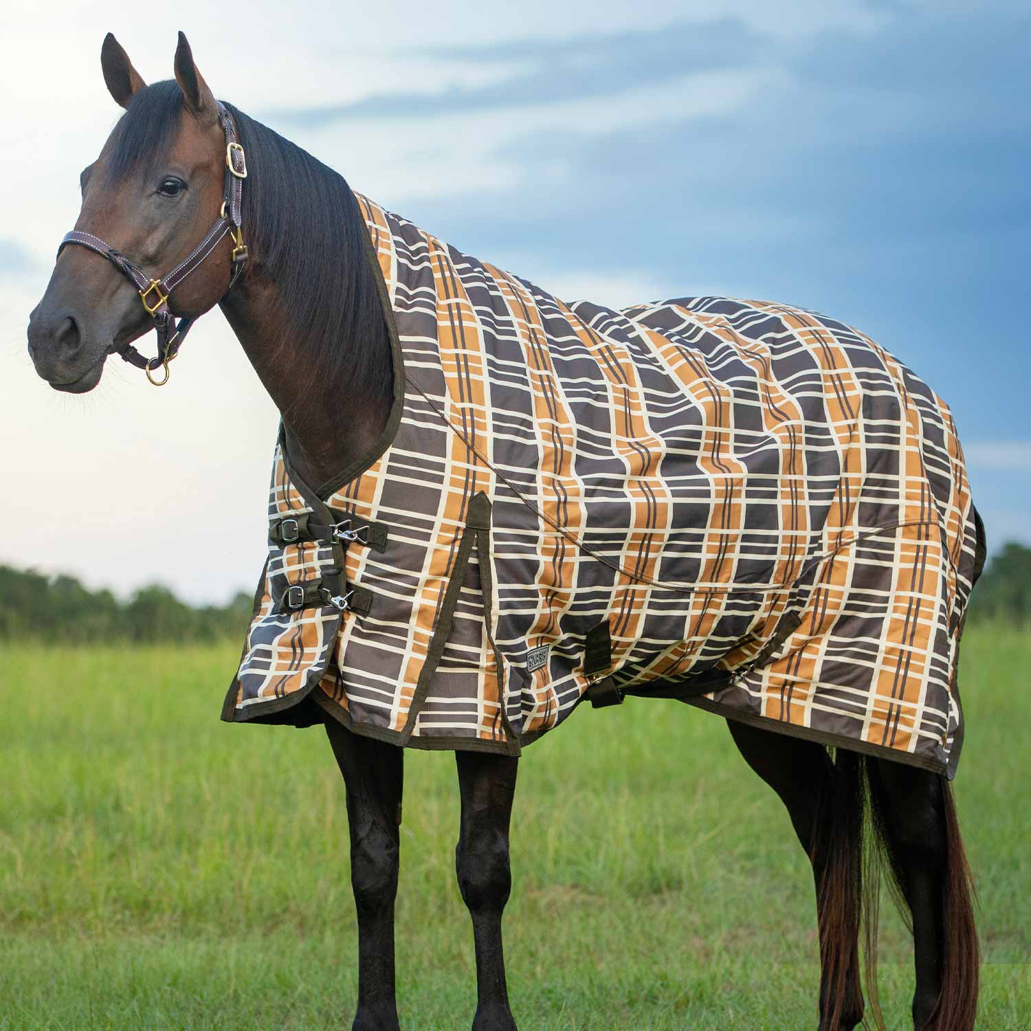 Jeffers Solaris 1200D Extended Neck Horse Turnout Blanket, 360 Gram, Brown & Cream Plaid