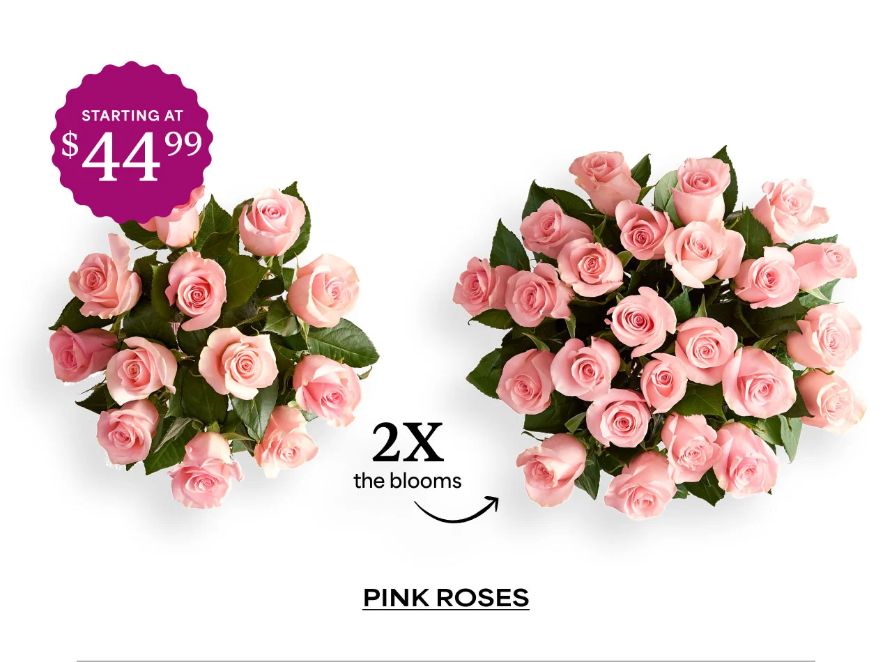 Pink Roses