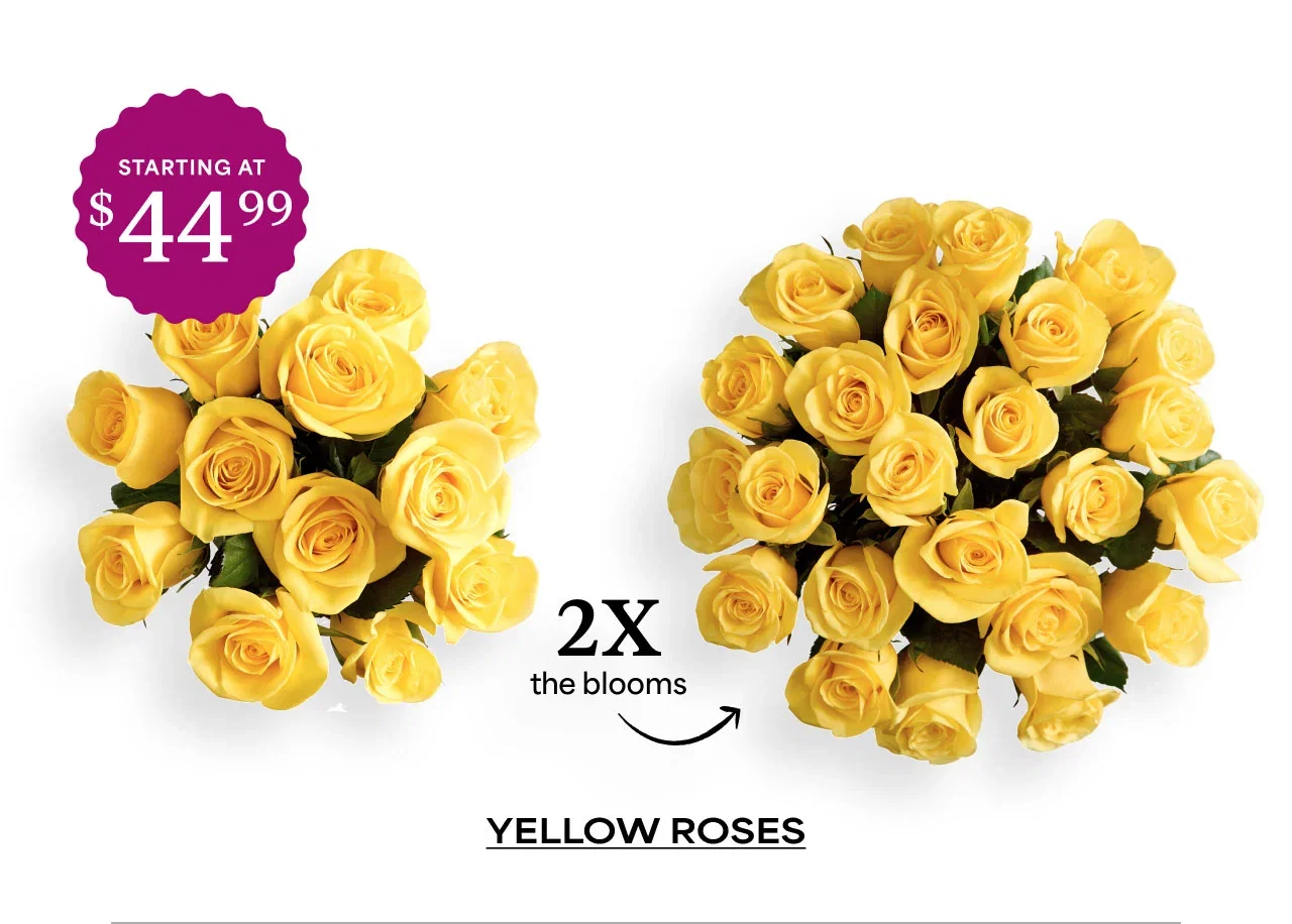 Yellow Roses