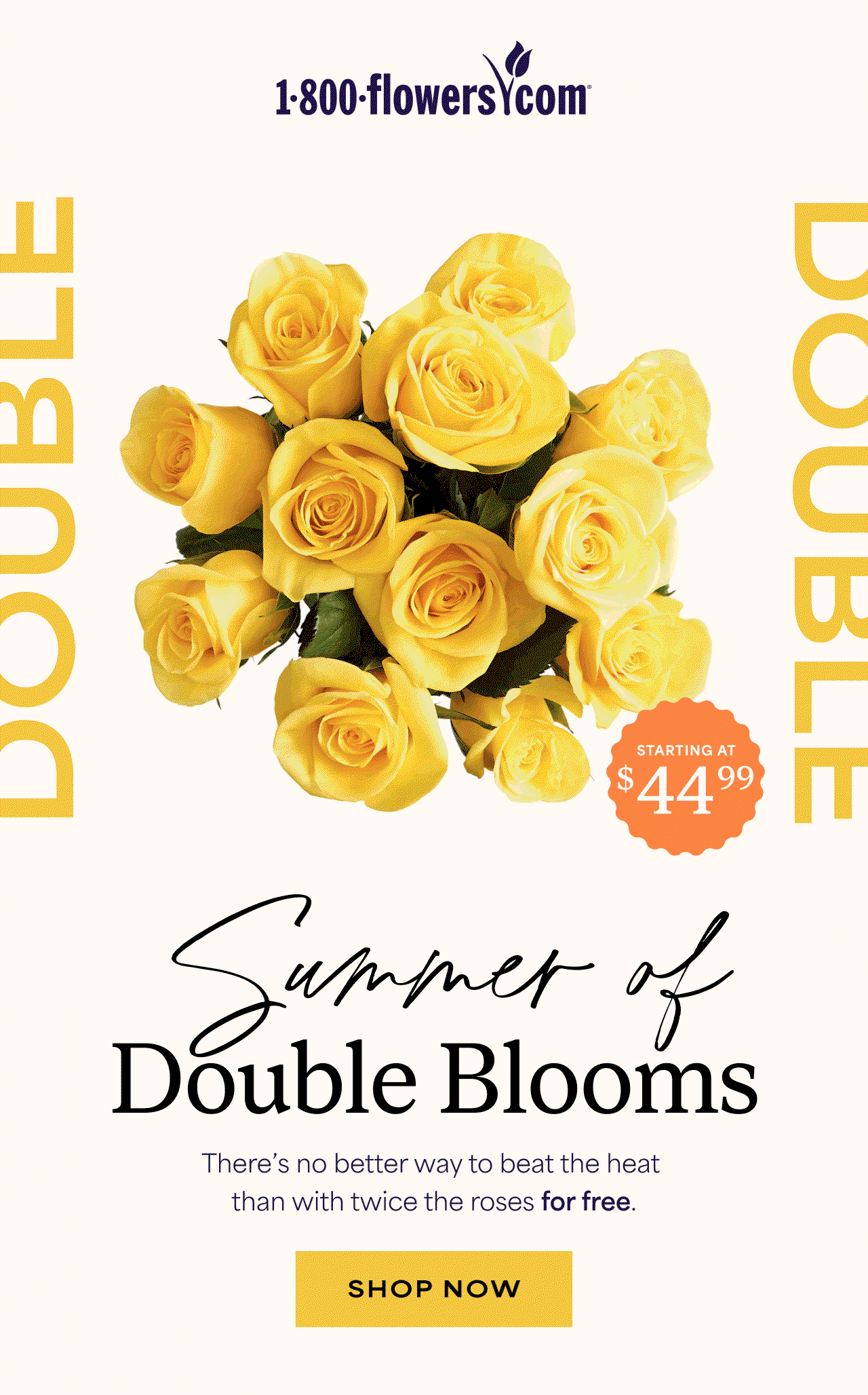 Summer of Double Blooms | there's no better way to beat the heat than with twice the roses for free.