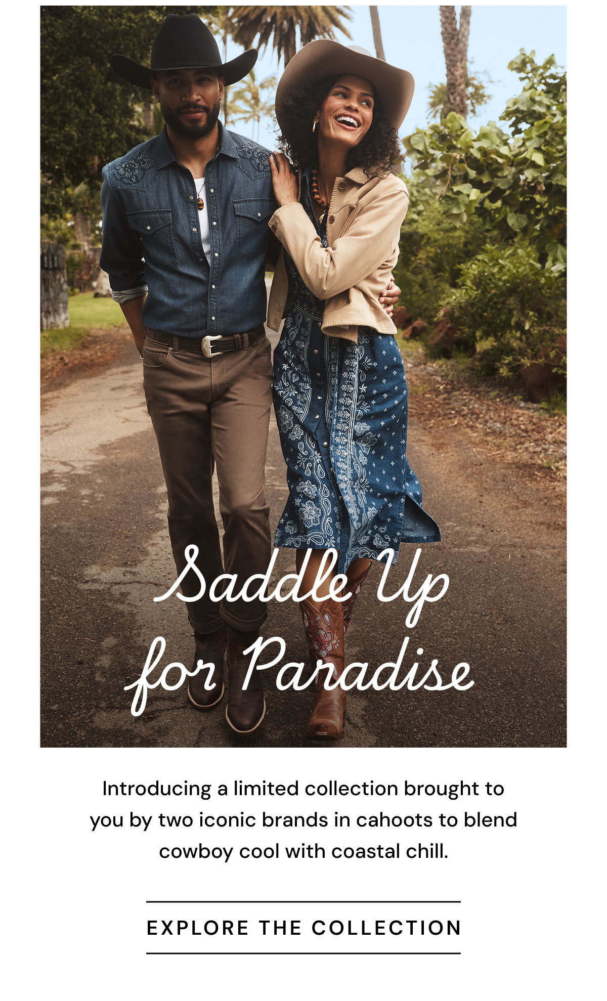 Explore The Collection